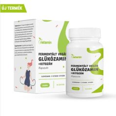 Netamin Fermentált Glükozamin +Kitozán kapszula 90db