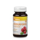 Vitaking Tőzegáfonya C&E Vitaminnal 90db