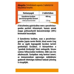 BioCo Pecsétviasz gomba kivonat tabletta 60db