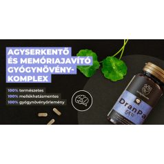   Myrobalan DranPa 60db agyserkentő és memóriajavító gyógynövény-komplex