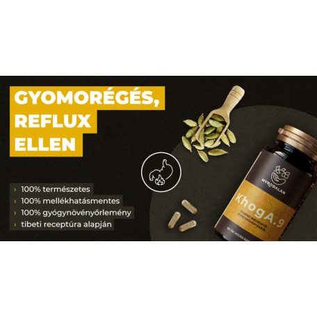 Myrobalan KhogA.9 60db gyomorégés, reflux elleni gyógynövény-komplex