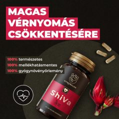   Myrobalan ShiVa 60db vérnyomáscsökkentő gyógynövény-komplex