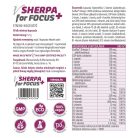 vSherpa for focus+